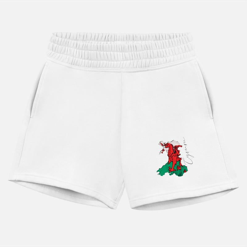 Wales Flag in Wales Map WL