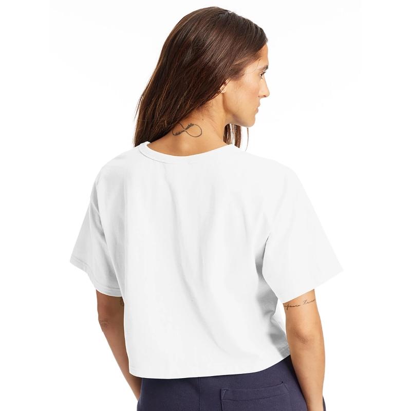 Work Humor I Pretend to Work, They Pretend to Pay