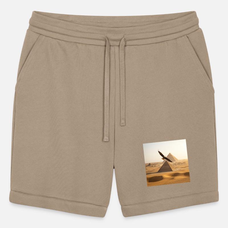 Desert Pyramids with Eagle Flight