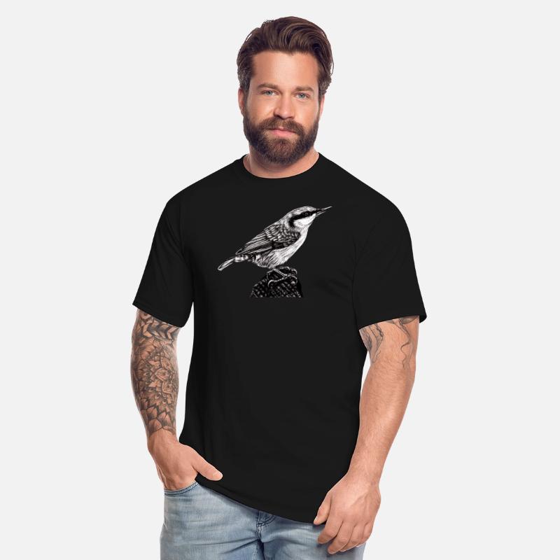 Eurasian nuthatch illustration