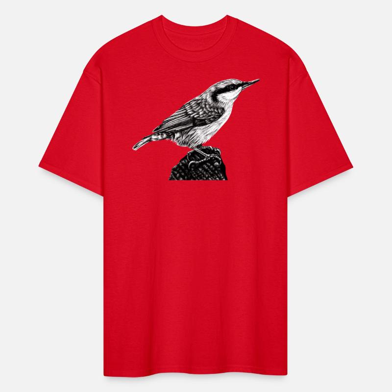 Eurasian nuthatch illustration