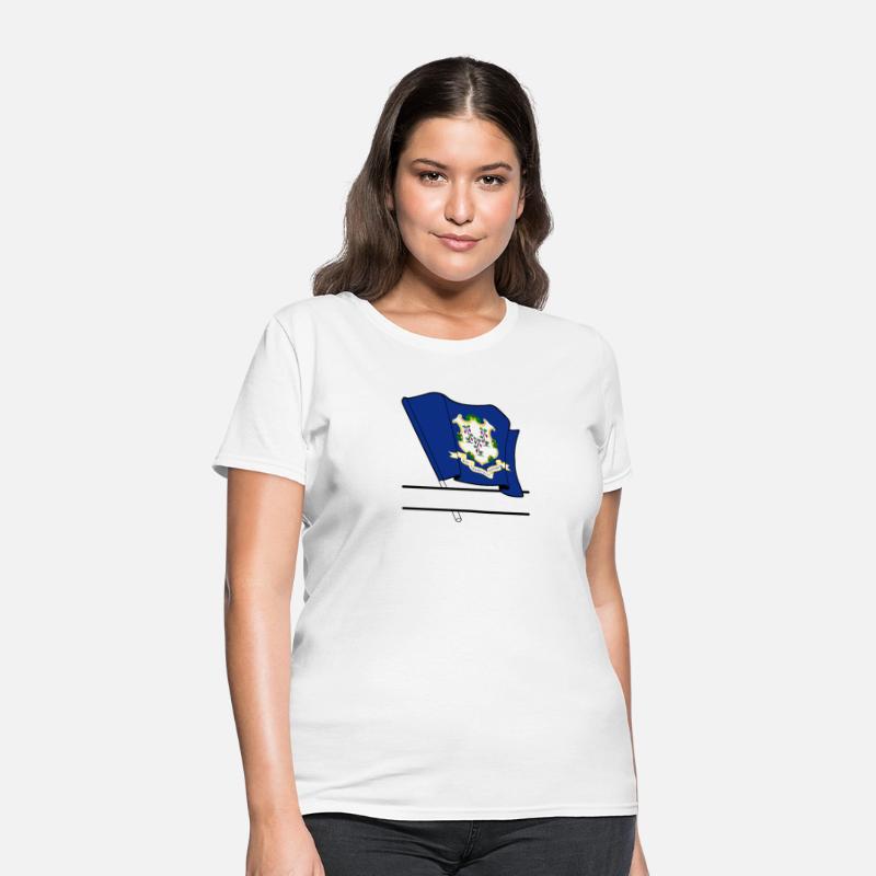 Flag Connecticut text banner