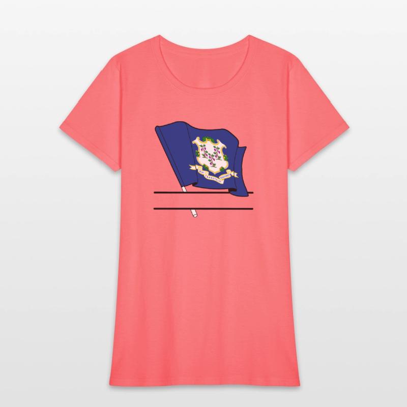 Flag Connecticut text banner