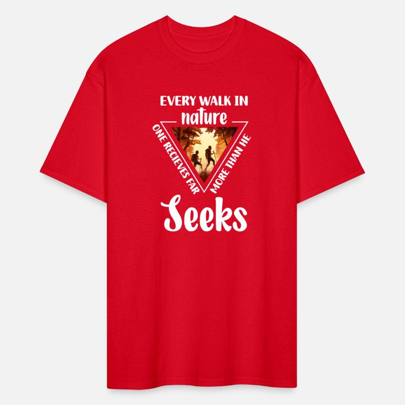 Forest Camping Wilderness