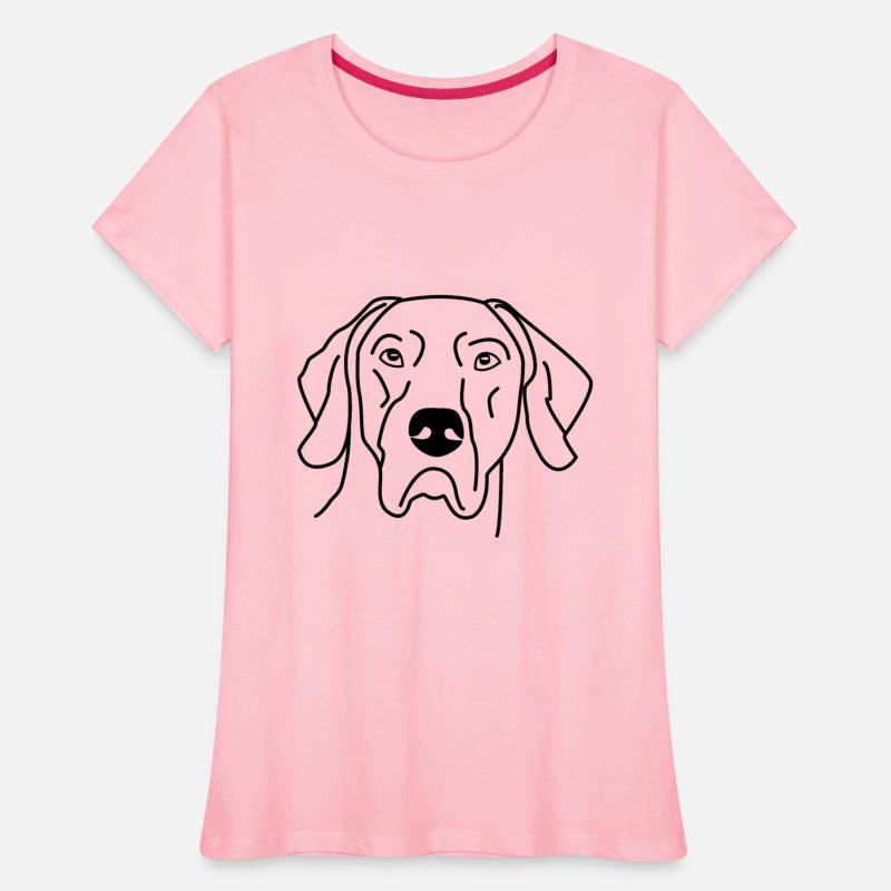 German Shorthaired Pointer