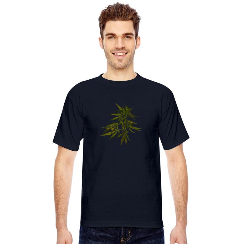 hanf cannabis kiffen marijuana hemp grass gras8