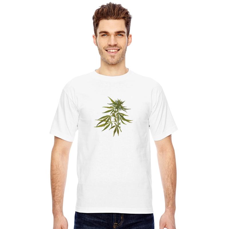 hanf cannabis kiffen marijuana hemp grass gras8