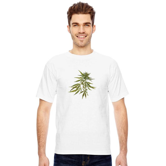 hanf cannabis kiffen marijuana hemp grass gras8