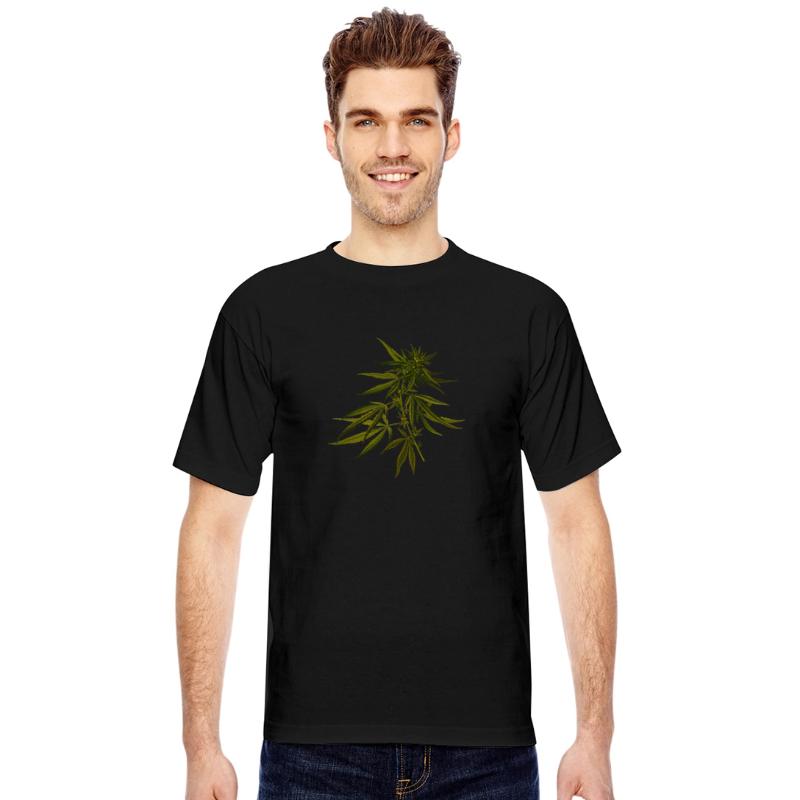 hanf cannabis kiffen marijuana hemp grass gras8