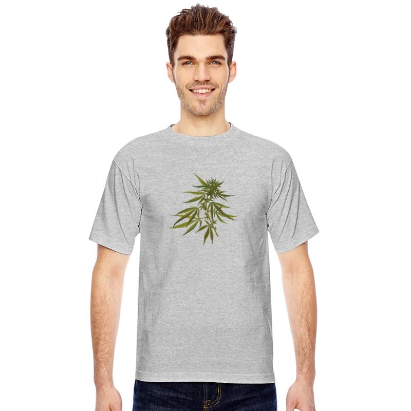 hanf cannabis kiffen marijuana hemp grass gras8