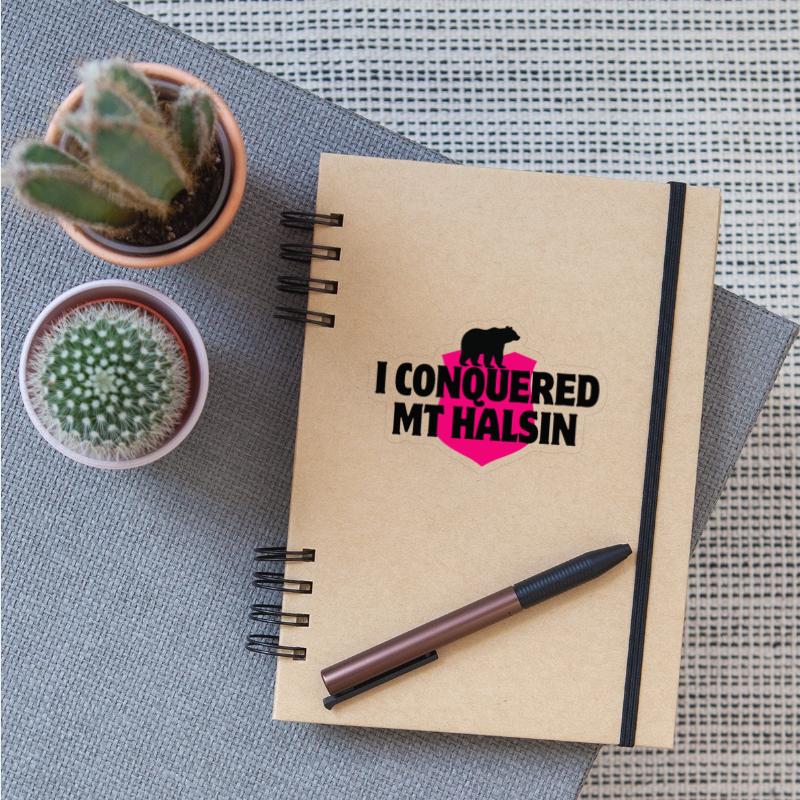 I Conqured Mt Halsin