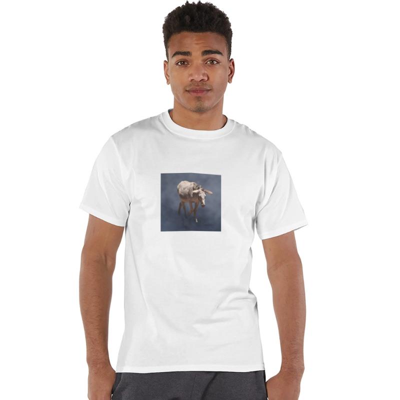 Mule on Smokey Gray Background