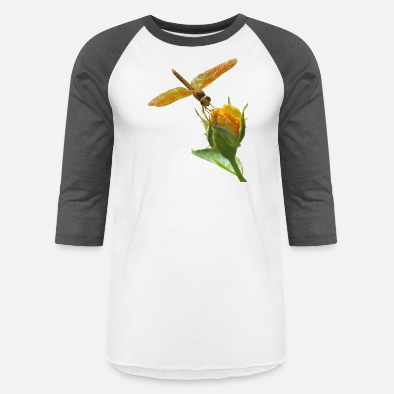 Orange Dragonfly on Yellow Rosebud