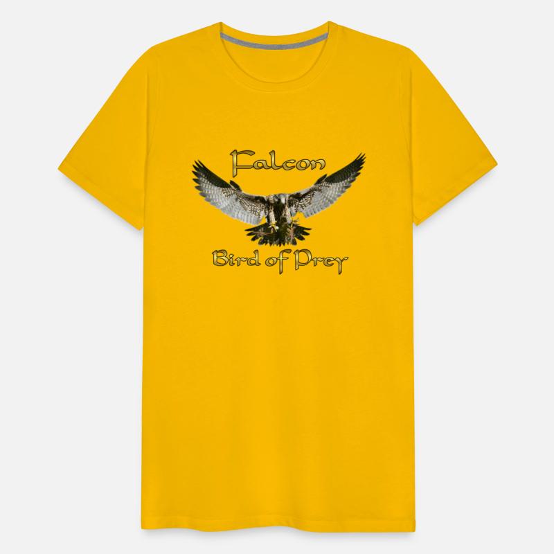 Peregrine Falcon Birds Of Prey