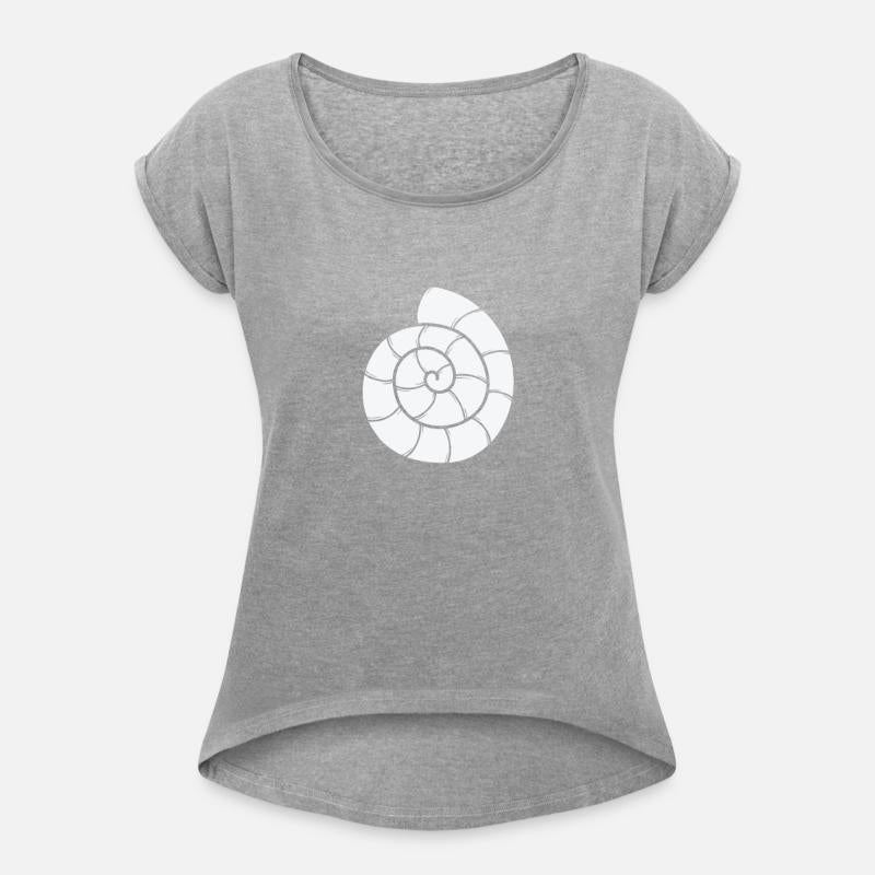 Snail House Spiral Snail Animal