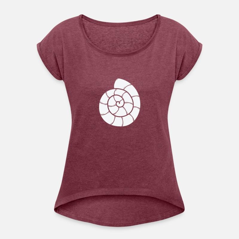 Snail House Spiral Snail Animal