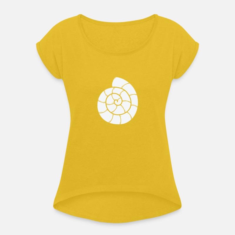 Snail House Spiral Snail Animal