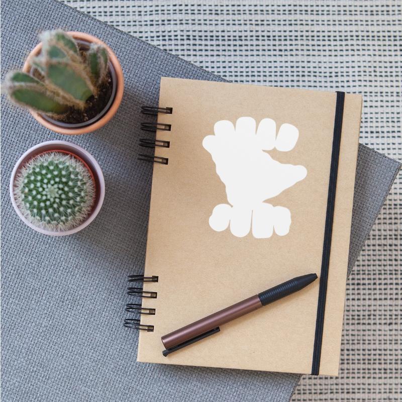 Surfing Surfboard Surfer Water Sport