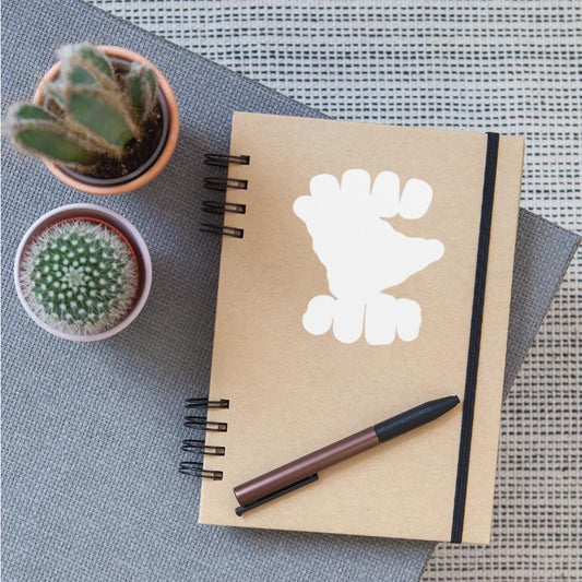 Surfing Surfboard Surfer Water Sport