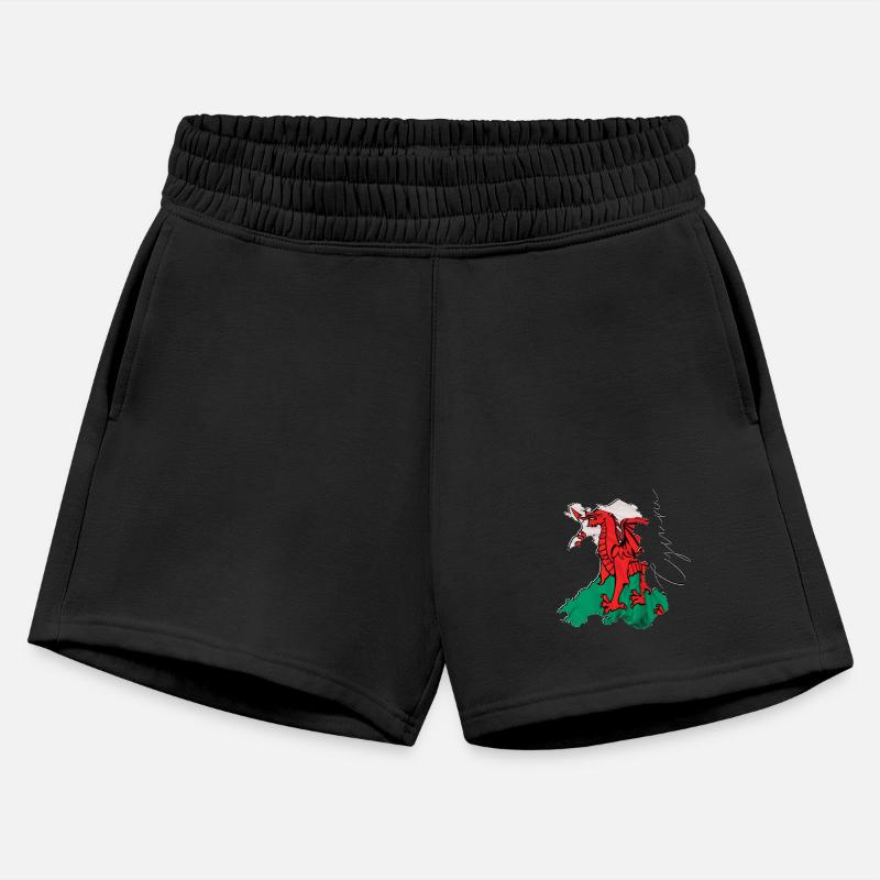 Wales Flag in Wales Map WL