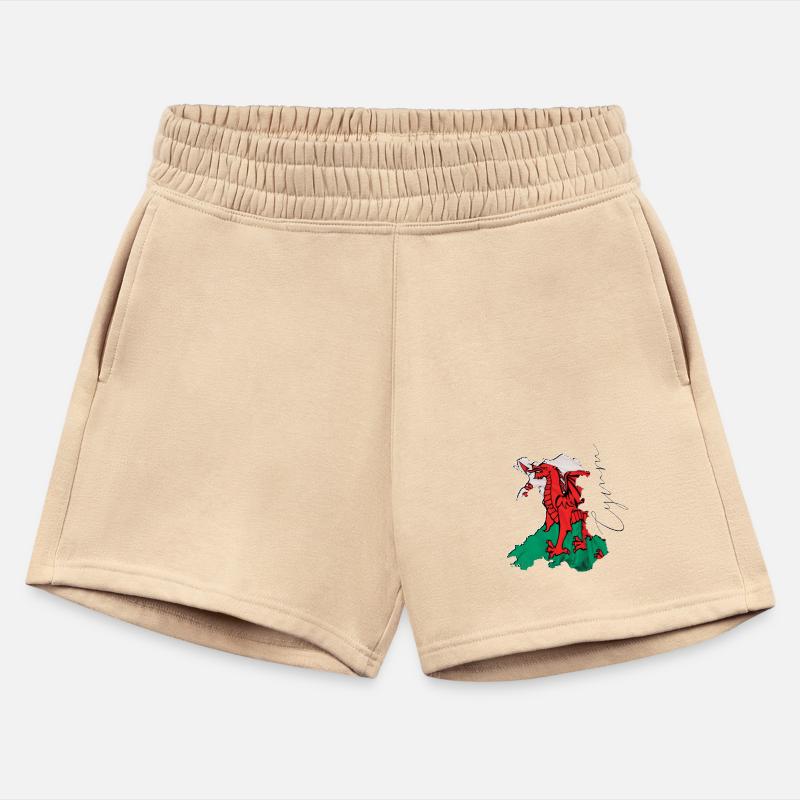 Wales Flag in Wales Map WL