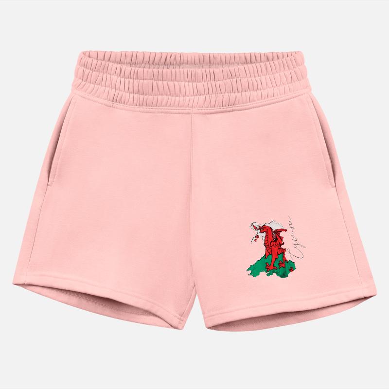 Wales Flag in Wales Map WL