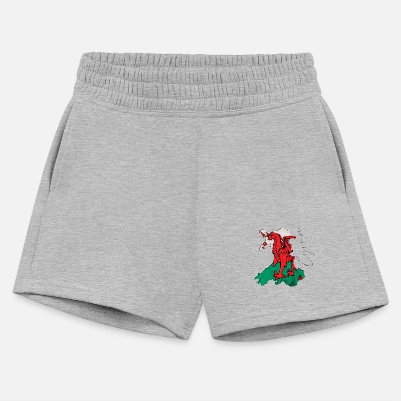 Wales Flag in Wales Map WL